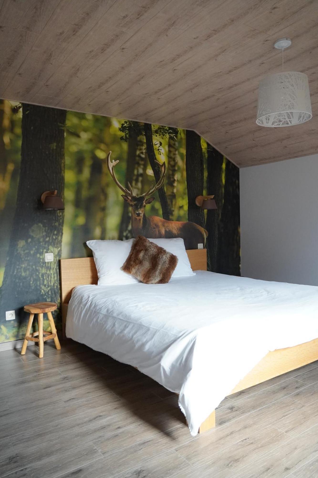 Petite perle en Haute Ardenne avec vue sur la vallée, cabine infra-rouge et bain balnéo Lierneux Esterno foto